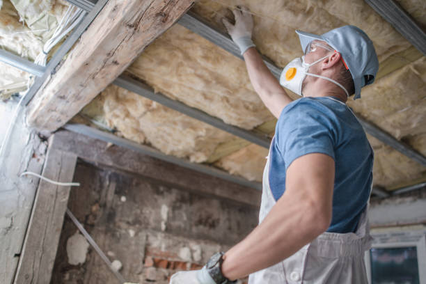 Best Spray Foam Insulation in Laurie, MO