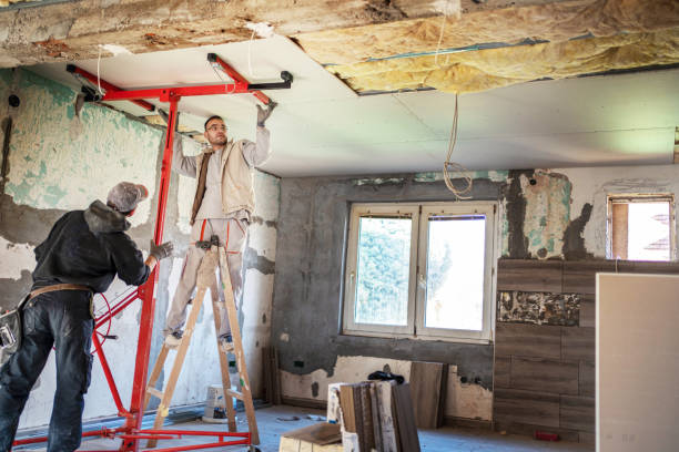 Best Geographic-Specific Insulation Services in Laurie, MO