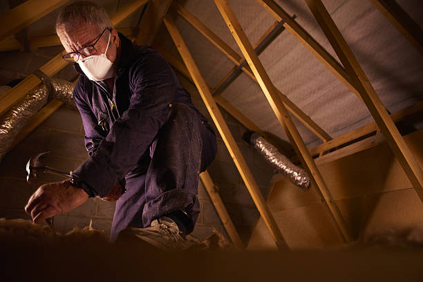 Best Specialized Insulation Services in Laurie, MO